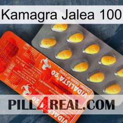 Kamagra Jelly 100 new01